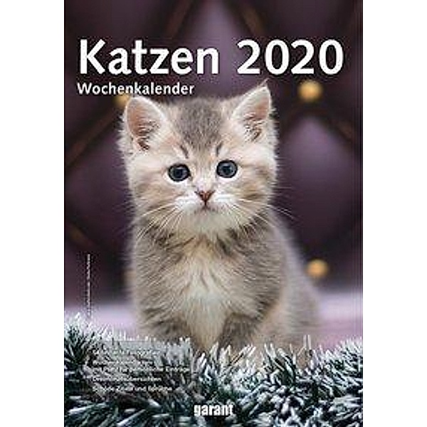 Katzen 2020
