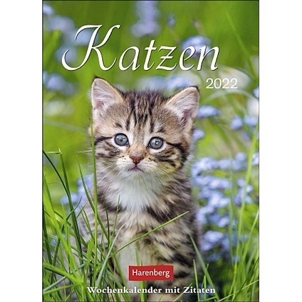 Katzen 2022