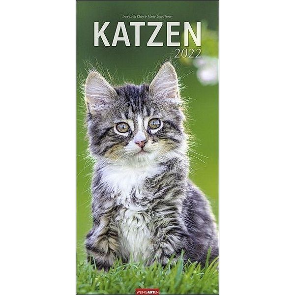 Katzen 2022, Jean-Louis Klein, Marie-Luce Hubert