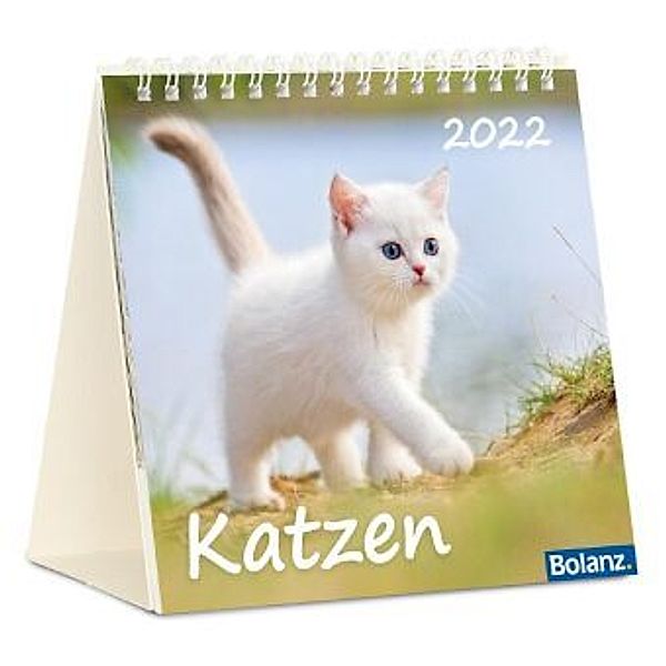 Katzen 2022
