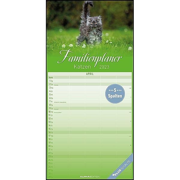 Katzen 2023 Familienplaner - Familien-Timer - Termin-Planer - Kinder-Kalender - Familien-Kalender - 22x45