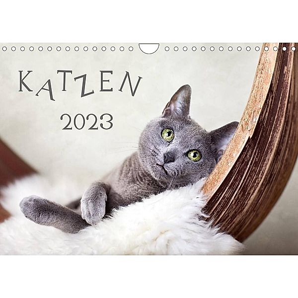Katzen 2023 (Wandkalender 2023 DIN A4 quer), Nailia Schwarz