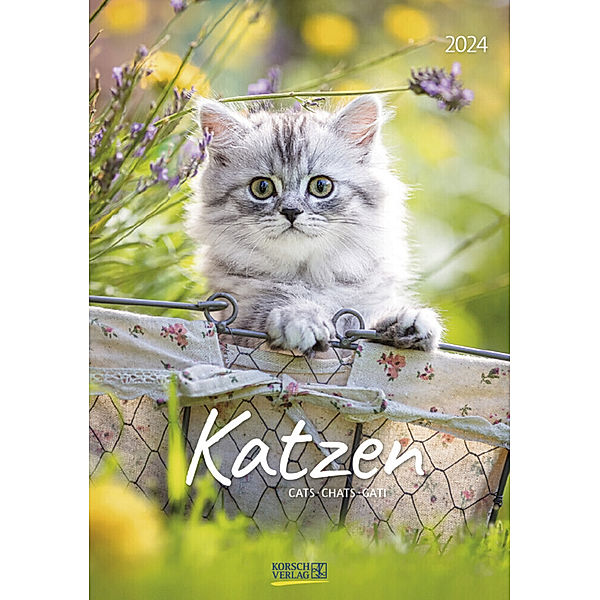 Katzen 2024