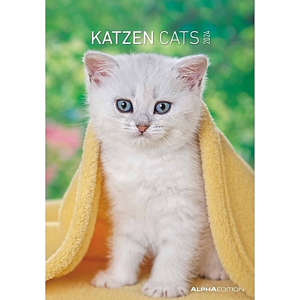 Katzen 2024 - Bildkalender 23,7x34 cm - Kalender mit Platz für Notizen - mit vielen Zusatzinformationen - Cats - Wandkalender - Alpha Edition