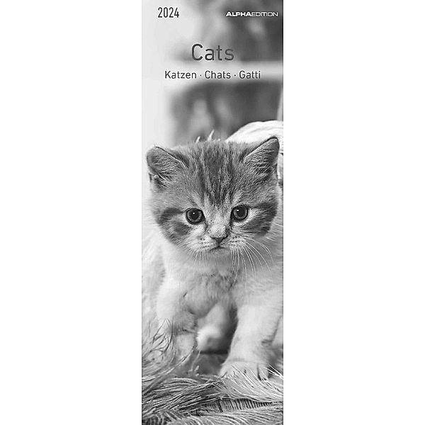 Katzen 2024 - Lesezeichenkalender 5,5x16,5 cm - Cats - Tierkalender - Lesehilfe - Alpha Edition