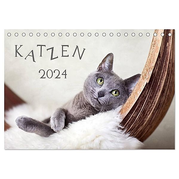 Katzen 2024 (Tischkalender 2024 DIN A5 quer), CALVENDO Monatskalender, Nailia Schwarz