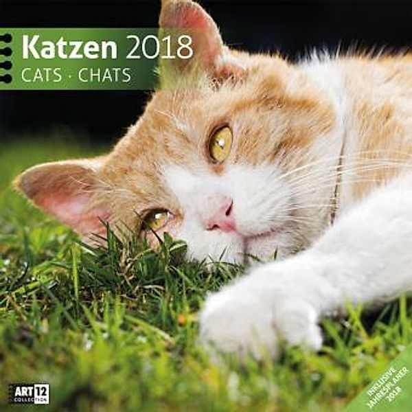 Katzen 30x30 2018