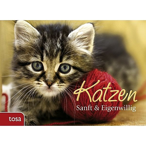 Katzen