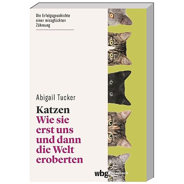 Katzen, Abigail Tucker