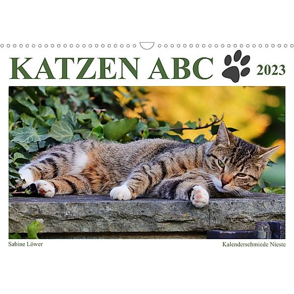 Katzen ABC (Wandkalender 2023 DIN A3 quer), Sabine Löwer