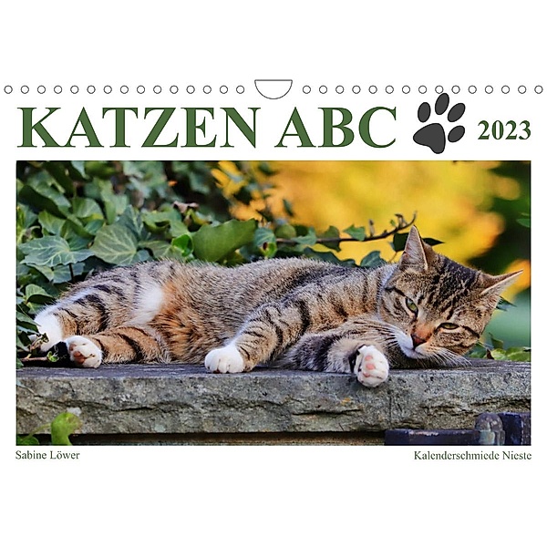 Katzen ABC (Wandkalender 2023 DIN A4 quer), Sabine Löwer