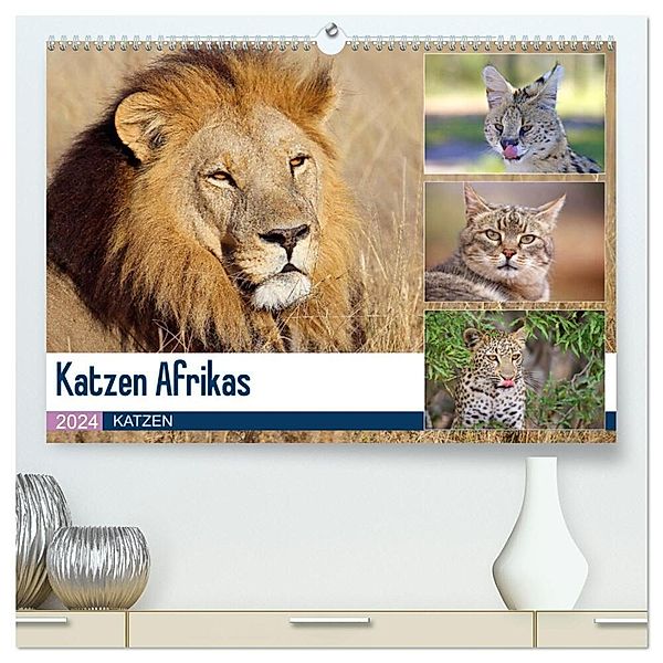 Katzen Afrikas (hochwertiger Premium Wandkalender 2024 DIN A2 quer), Kunstdruck in Hochglanz, Michael Herzog