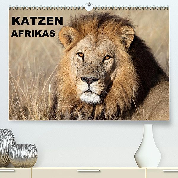 Katzen Afrikas (Premium-Kalender 2020 DIN A2 quer), Michael Herzog