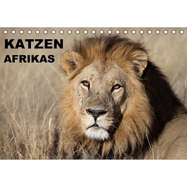 Katzen Afrikas (Tischkalender 2016 DIN A5 quer), Michael Herzog