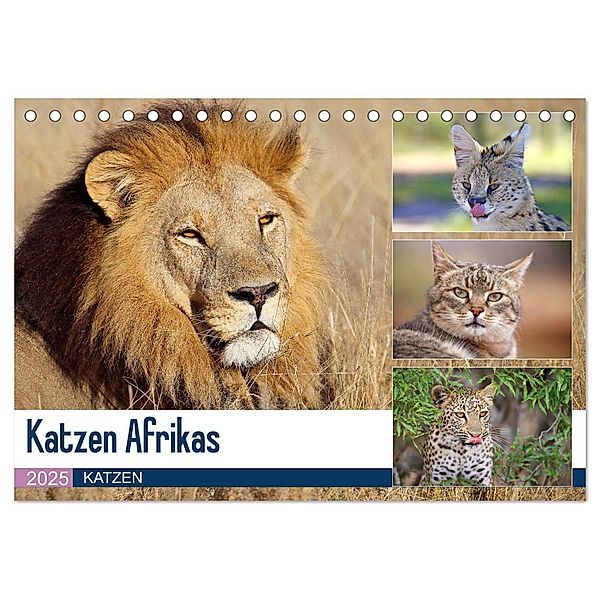 Katzen Afrikas (Tischkalender 2025 DIN A5 quer), CALVENDO Monatskalender, Calvendo, Michael Herzog