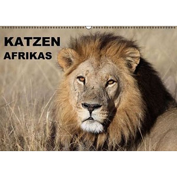 Katzen Afrikas (Wandkalender 2015 DIN A2 quer), Michael Herzog