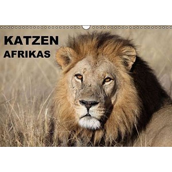 Katzen Afrikas (Wandkalender 2015 DIN A3 quer), Michael Herzog