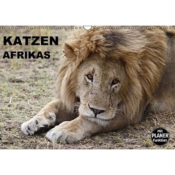 Katzen Afrikas (Wandkalender 2016 DIN A3 quer), Michael Herzog