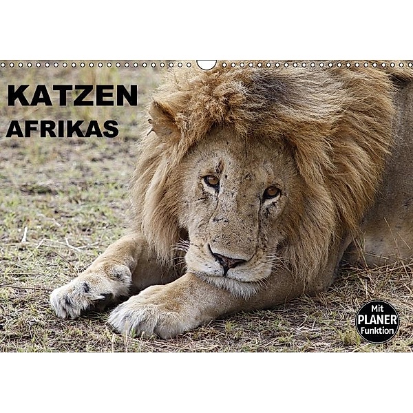 Katzen Afrikas (Wandkalender 2017 DIN A3 quer), Michael Herzog