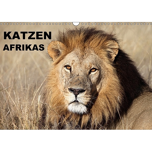 Katzen Afrikas (Wandkalender 2018 DIN A3 quer) Dieser erfolgreiche Kalender wurde dieses Jahr mit gleichen Bildern und a, Michael Herzog