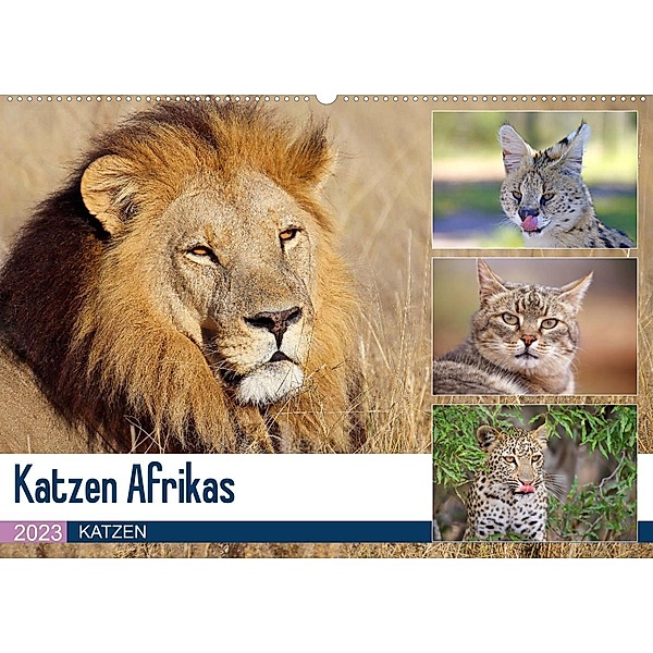 Katzen Afrikas (Wandkalender 2023 DIN A2 quer), Michael Herzog