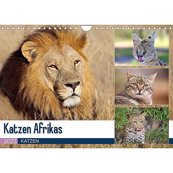 Katzen Afrikas (Wandkalender 2023 DIN A4 quer), Michael Herzog