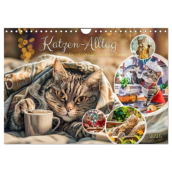 Katzen-Alltag - Ein witziges Jahr mit Kater Tommy (Wandkalender 2025 DIN A4 quer), CALVENDO Monatskalender, Calvendo, Anja Frost