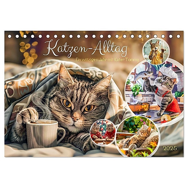 Katzen-Alltag - Ein witziges Jahr mit Kater Tommy (Tischkalender 2025 DIN A5 quer), CALVENDO Monatskalender, Calvendo, Anja Frost