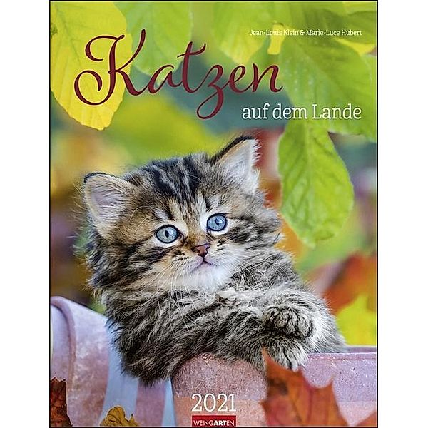 Katzen auf dem Lande 2021, Jean-Louis Klein, Marie-Luce Hubert