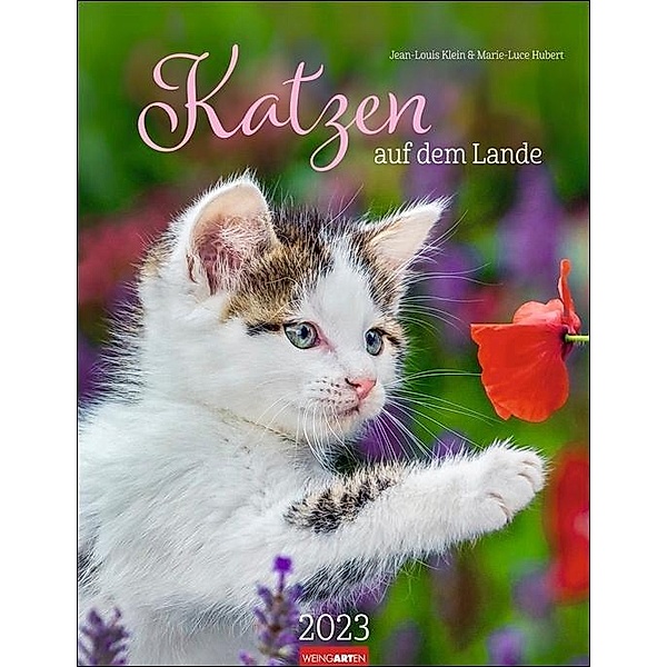 Katzen auf dem Lande Kalender 2023. Süße Kätzchen in ländlicher Idylle: Ein Fotokalender zum Dahinschmelzen. Großer Wand, Jean-Louis Klein, Marie-Luce Hubert