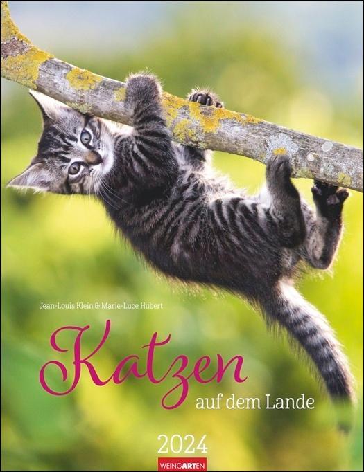 auf　Lande　kaufen　Kalender　2024　Katzen　dem