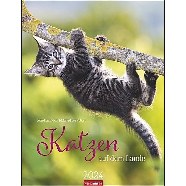 Katzen auf dem Lande Kalender 2024. Süße Kätzchen in ländlicher Idylle: Ein Foto-Kalender zum Dahinschmelzen. Planer mit Platz zum Eintragen. Hochformat 30x39 cm, Katzen auf dem Lande Kalender 2024. Süße Kätzchen in ländlicher Idylle: Ein Foto-Kalender zum Dahinschmelzen. Planer mit