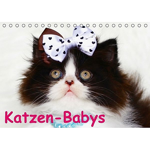 Katzen-Babys (Tischkalender immerwährend DIN A5 quer), Elisabeth Stanzer