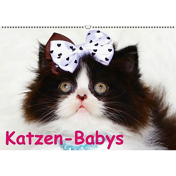 Katzen-Babys (Wandkalender immerwährend DIN A2 quer), Elisabeth Stanzer