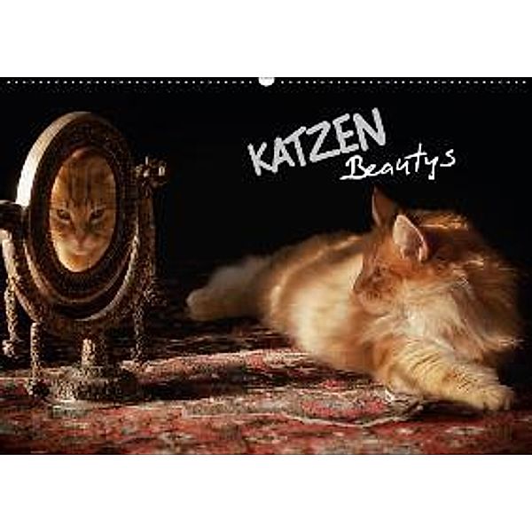 KATZEN Beautys (Wandkalender 2016 DIN A2 quer), Viktor Gross