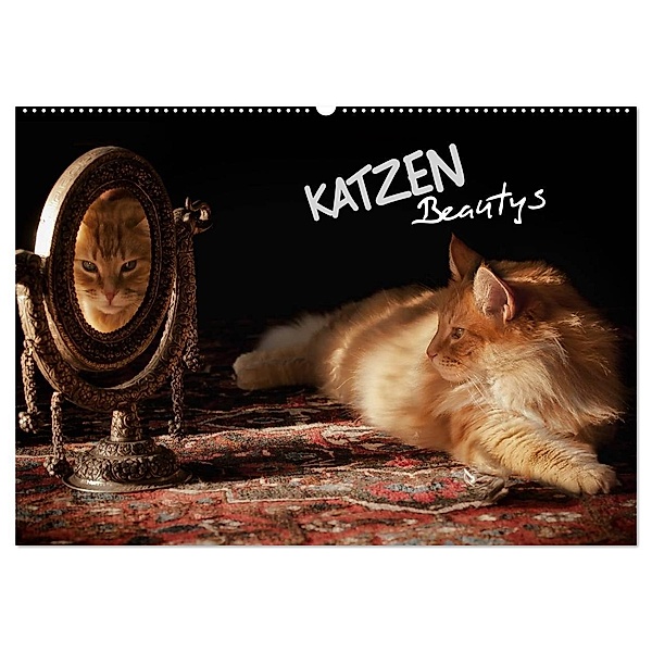 KATZEN Beautys (Wandkalender 2025 DIN A2 quer), CALVENDO Monatskalender, Calvendo, Viktor Gross