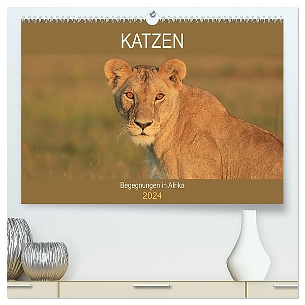 Katzen - Begegnungen in Afrika (hochwertiger Premium Wandkalender 2024 DIN A2 quer), Kunstdruck in Hochglanz, Michael Herzog
