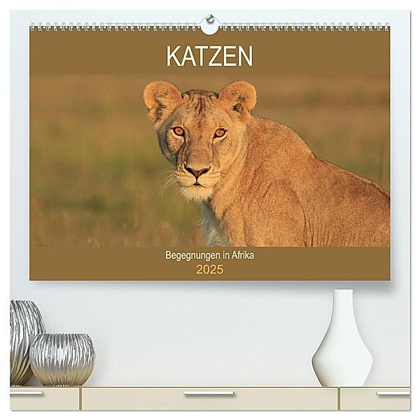 Katzen - Begegnungen in Afrika (hochwertiger Premium Wandkalender 2025 DIN A2 quer), Kunstdruck in Hochglanz, Calvendo, Michael Herzog