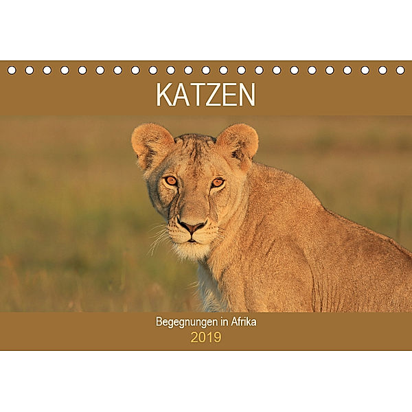 Katzen - Begegnungen in Afrika (Tischkalender 2019 DIN A5 quer), Michael Herzog