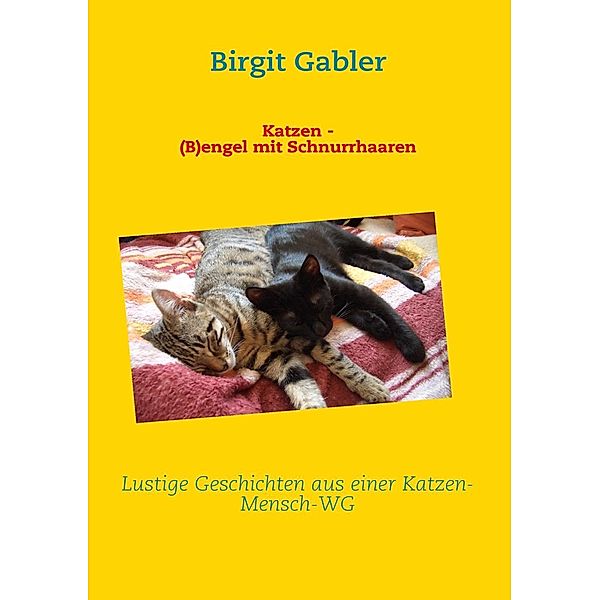 Katzen - (B)engel mit Schnurrhaaren, Birgit Gabler