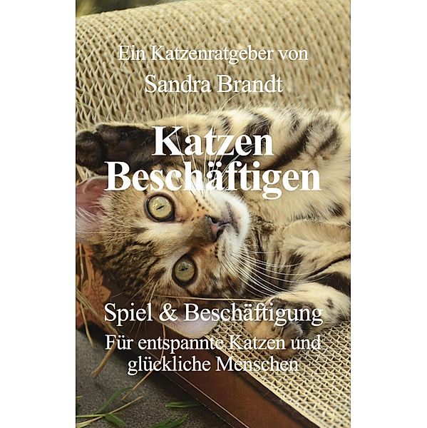 Katzen Beschäftigen, Sandra Brandt