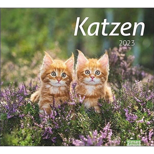 Katzen Bildkalender 2023. Süße Samtpfoten im großen Wandkalender 2023. Kalender für Katzenfans - jeden Monat ein Hinguck