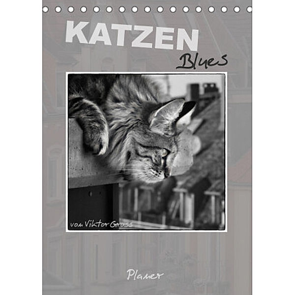 Katzen Blues / Planer (Tischkalender 2022 DIN A5 hoch), Viktor Gross