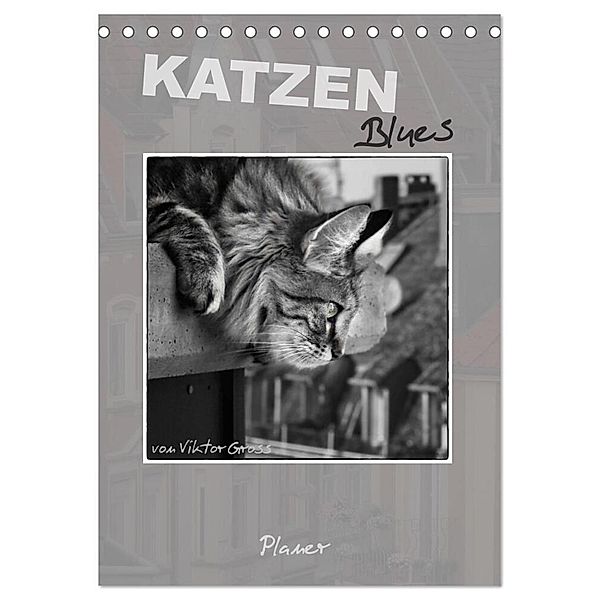 Katzen Blues / Planer (Tischkalender 2024 DIN A5 hoch), CALVENDO Monatskalender, Viktor Gross
