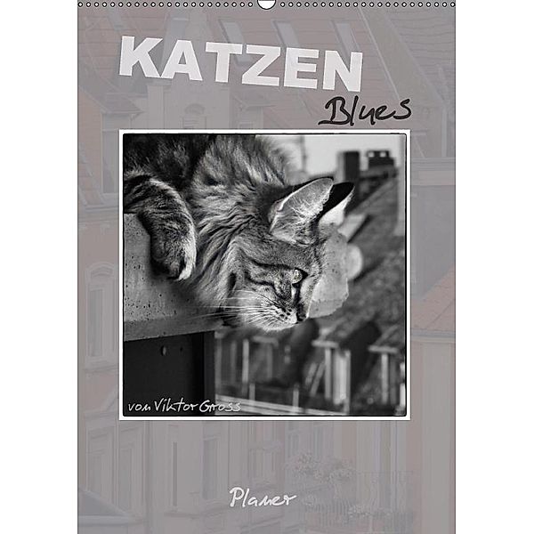 Katzen Blues / Planer (Wandkalender 2017 DIN A2 hoch), Viktor Gross