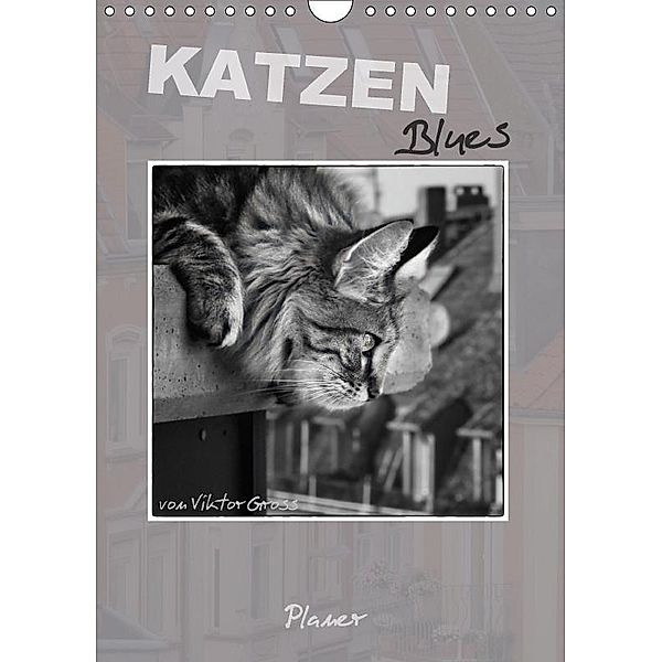 Katzen Blues / Planer (Wandkalender 2017 DIN A4 hoch), Viktor Gross