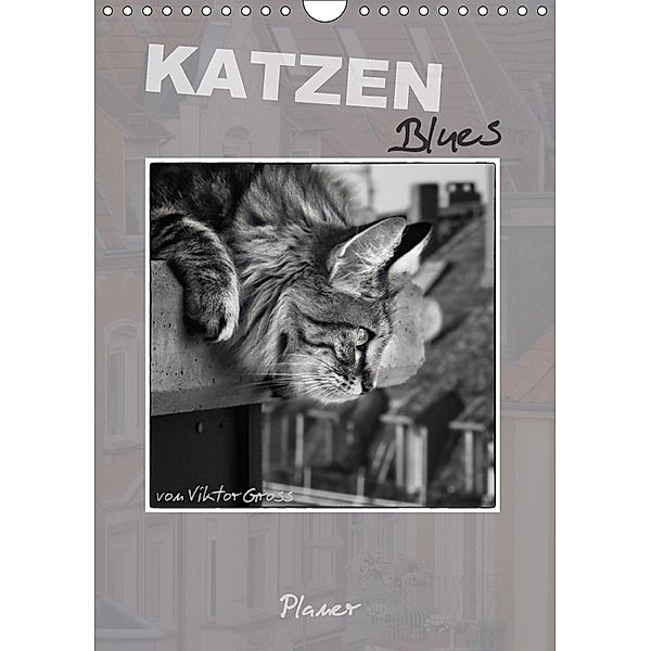 Katzen Blues / Planer (Wandkalender 2018 DIN A4 hoch), Viktor Gross