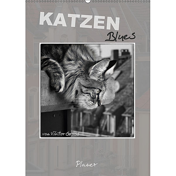 Katzen Blues / Planer (Wandkalender 2019 DIN A2 hoch), Viktor Gross