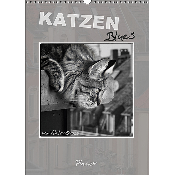 Katzen Blues / Planer (Wandkalender 2019 DIN A3 hoch), Viktor Gross