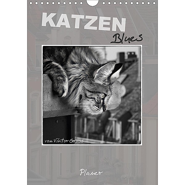 Katzen Blues / Planer (Wandkalender 2021 DIN A4 hoch), Viktor Gross